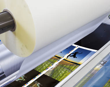 Encapsulated & laminated posters