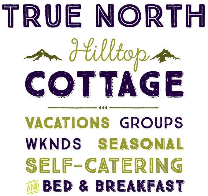 5 POPULAR FONTS USED BY GRAPHIC DESIGNERS